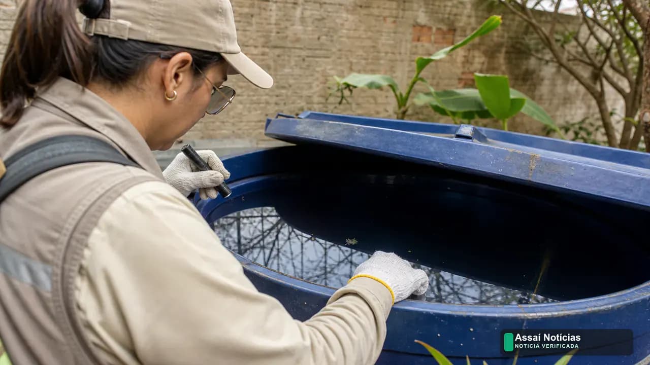 Gráfico com destaque para os 1.253 casos de dengue confirmados em Londrina e ações de combate ao mosquito